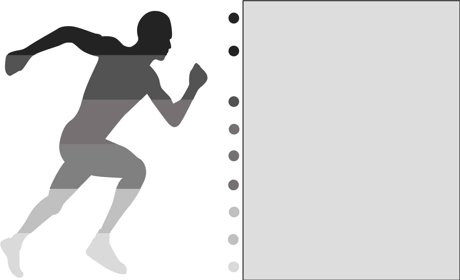 Yalin 6 Sigma Kara Kusak Sertifika Programi